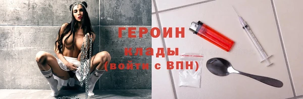 прущие грибы Вязьма
