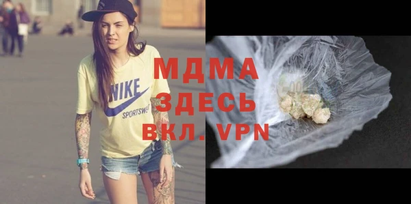прущие грибы Вязьма