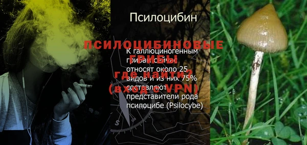 apvp Вязники