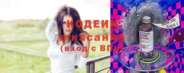 прущие грибы Вязьма