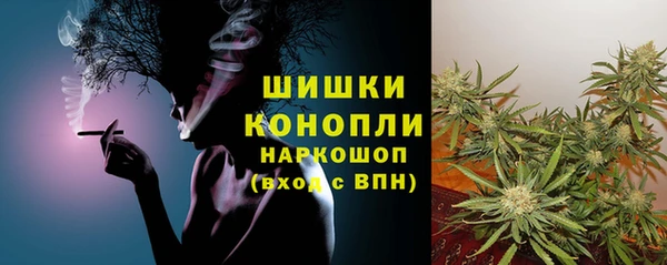 прущие грибы Вязьма