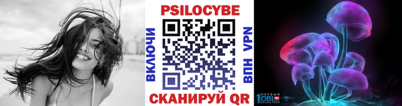 Купить  Канаш  Псилоцибиновые грибы Magic Shrooms 