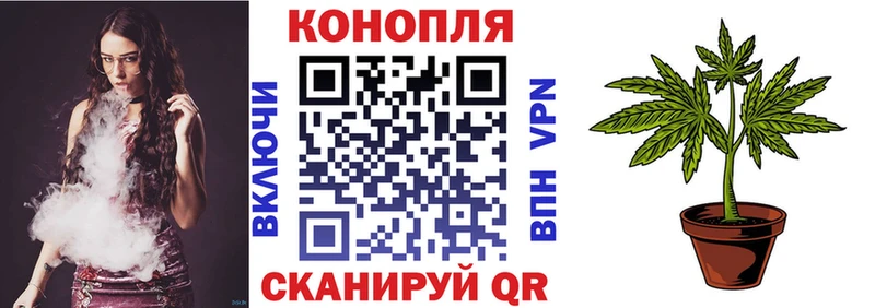 Конопля OG Kush Канаш